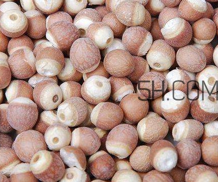 芡实是中药吗?可以天天吃吗?,芡实是中药吗 芡实是中药吗?可以天天吃吗?,芡实是中药吗