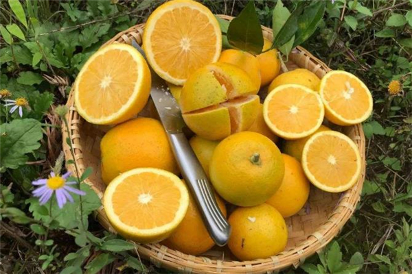 冰糖橙可以煮水喝吗?,橙子跟冰糖熬水喝吗