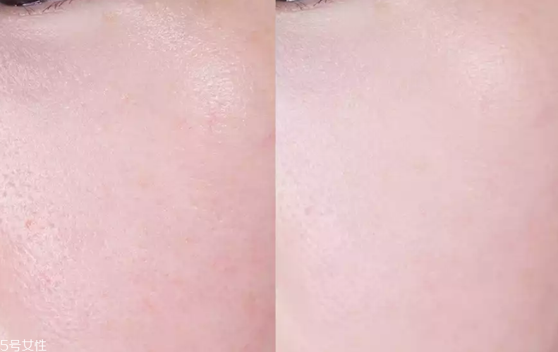 动物精华液推荐(动物精华液有哪些)