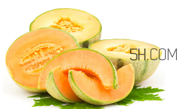 哈密瓜如何看是否成熟,怎么判断哈密瓜熟了没