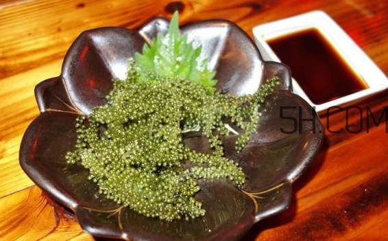 海葡萄怎么保存,海葡萄食用方法
