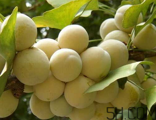 白果为什么不能多吃,求答案?,白果为什么不能多吃?