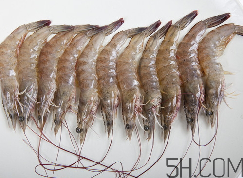 海虾多少钱一斤现在市场价,海鳌虾多少钱一斤 海虾多少钱一斤现在市场价,海鳌虾多少钱一斤