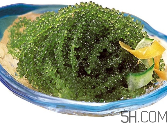 海葡萄好吃吗什么味道,海葡萄图片