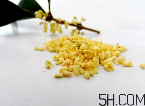 黄桂花和白桂花的区别,红桂花好还是黄桂花好 黄桂花和白桂花的区别,红桂花好还是黄桂花好