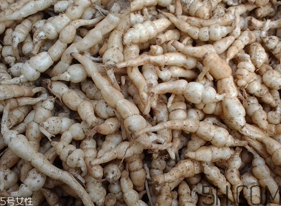 螺丝菜是什么样的,螺丝菜叫什么 螺丝菜是什么样的,螺丝菜叫什么