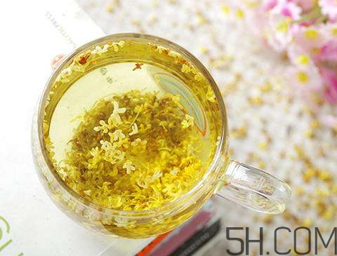 丁香桂花茶能治口臭吗,桂花茶能治口臭吗