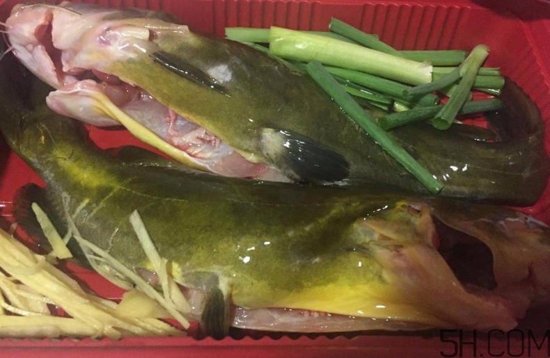 黄骨鱼主要吃什么食物,黄骨鱼的营养价值及功效和作用