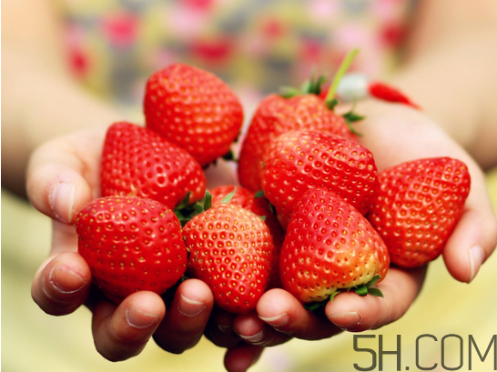 奶油草莓和巧克力草莓哪种好吃,奶油草莓好吃还是巧克力草莓好吃