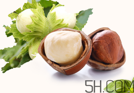 榛子可以天天吃吗,天天吃榛子好吗