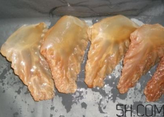 过期的海蜇头能吃吗,海蜇头能吃吗