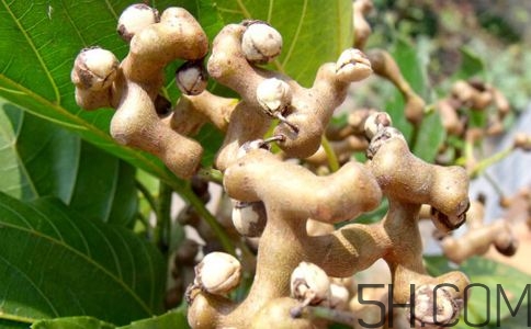 拐枣可以治疗风湿吗,拐枣治风湿是怎么个吃法