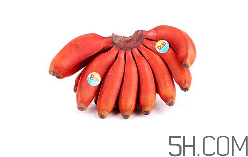 红香蕉和普通香蕉口感区别,红色香蕉和普通香蕉不同