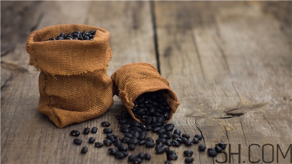 黑豆有虫子了还能吃吗,黑豆长虫了还能吃吗