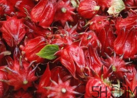 洛神果可以直接吃吗,洛神果怎么吃