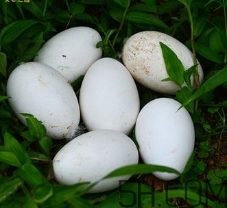 胎毒怎么去除,胎毒是什么 有哪些症状