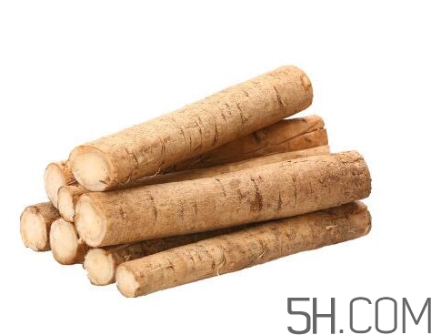 牛蒡是什么东西图片,牛蒡是啥东西