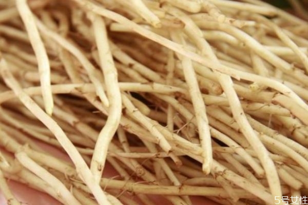 藜蒿根和鱼腥草是一样吗,蒿子根是不是鱼腥草