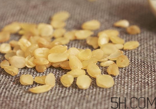 皂角米有什么功效,吃皂角米有什么好处和坏处