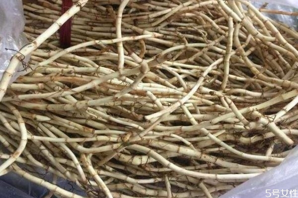 折耳根和鱼腥草的区别,鱼腥草和折耳根一样吗