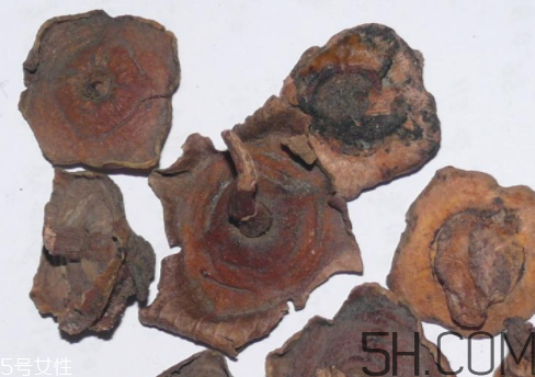 柿蒂是什么东西,柿子蒂是什么