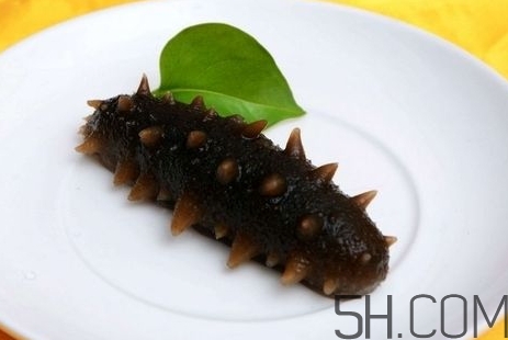 海参是高蛋白食物吗,海参的蛋白质含量高吗