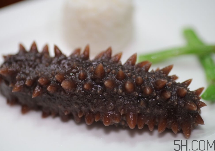 海参是酸性还是碱性食物,海参是碱性还是酸性