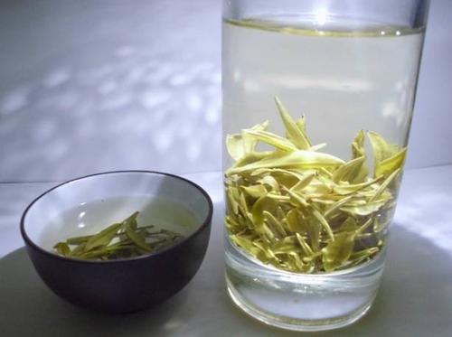 庐山云雾茶怎么泡最好,庐山云雾茶介绍