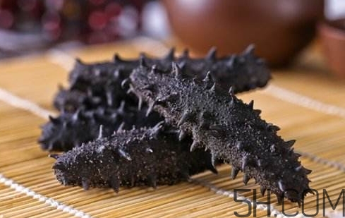 萝卜和海参可以同吃吗,海参和白萝卜能一起吃吗