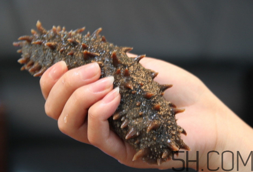 海参可以和西红柿一起吃吗?,西红柿可以和海参在一起做汤吗 海参可以和西红柿一起吃吗?,西红柿可以和海参在一起做汤吗