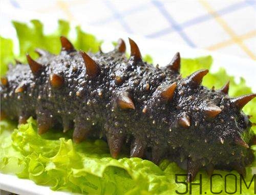 海参最有营养的部位是哪里?,海参的神奇之处表现在哪些方面