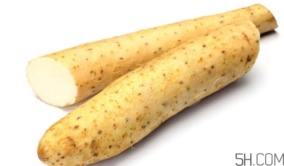 山药发芽怎么处理,山药发芽了怎么办