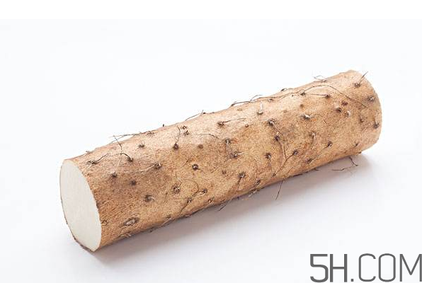 山药可以每天吃吗,有什么好处,山药和淮山哪个更有营养