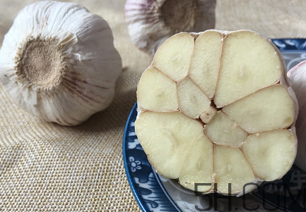 大蒜泡酒喝了有什么好,大蒜泡酒好吗 大蒜泡酒喝了有什么好,大蒜泡酒好吗