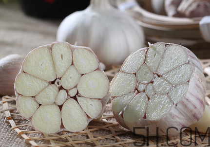 大蒜泡酒可以治什么病?,大蒜泡酒能治什么病 大蒜泡酒可以治什么病?,大蒜泡酒能治什么病