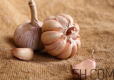 大蒜泡酒真的能壮阳吗,大蒜泡酒有什么功效可以壮阳吗 大蒜泡酒真的能壮阳吗,大蒜泡酒有什么功效可以壮阳吗