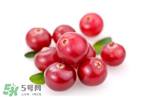 蔓越莓和越橘的区别,蔓越莓和蔓越橘是一种东西吗