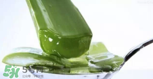 芦荟怎么吃法和做法,芦荟可以怎么吃