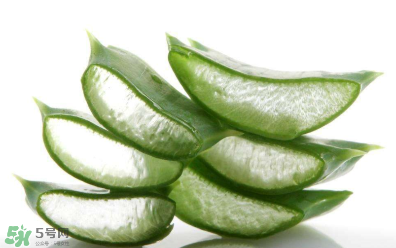 芦荟敏感肌肤可以使用吗,敏感肌能用含芦荟的护肤品吗