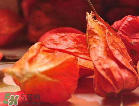 苦姑娘治疗糖尿病吗,苦姑娘怎么吃治糖尿病