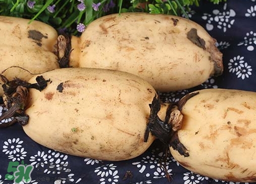 老藕和嫩藕的区别,新藕和老藕有什么区别