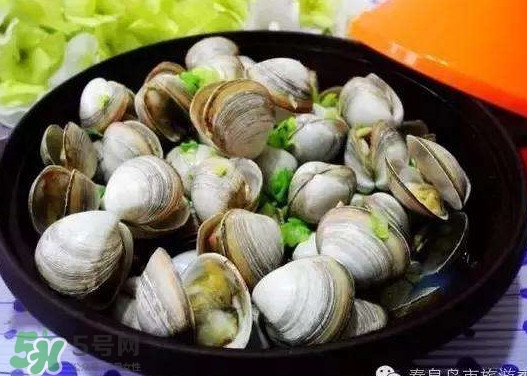 怀孕初期可以吃蛤蜊蒸蛋吗,孕妇能吃文蛤蒸蛋吗