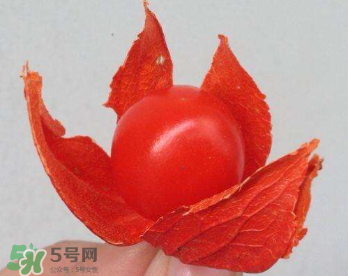 红姑娘皮能泡水喝吗,红姑娘皮泡水切记用量