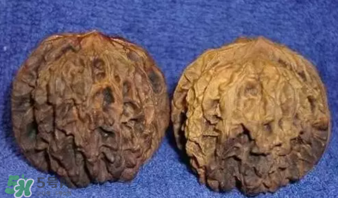 核桃阴皮是什么样子的,核桃有阴皮