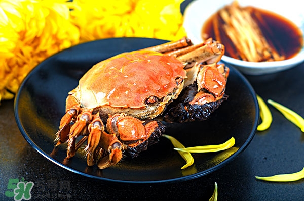 阳澄湖大闸蟹公的好还是母的好,阳澄湖大闸蟹公的好吃还是母的