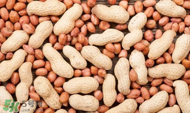 自己在家发花生芽,花生可以发芽吗 自己在家发花生芽,花生可以发芽吗