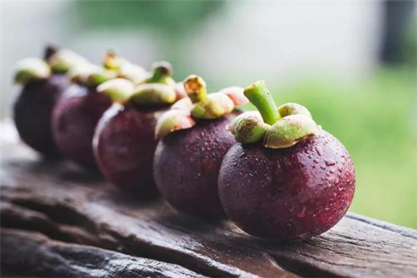 吃山竹能减肥吗,吃山竹会胖吗