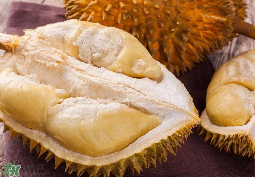 榴莲能天天吃吗,榴莲能天天吃吗孕妇 榴莲能天天吃吗,榴莲能天天吃吗孕妇