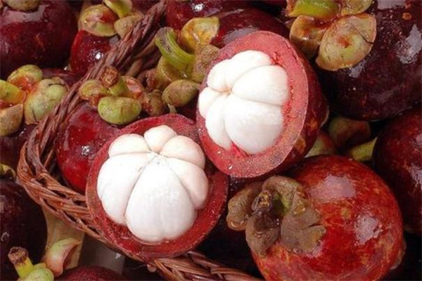 长期吃角鲨烯有害吗(角鲨烯长期吃好吗)