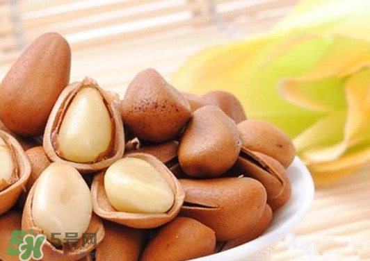 松子一天吃多少粒最佳,小孩松子一天吃多少粒为宜